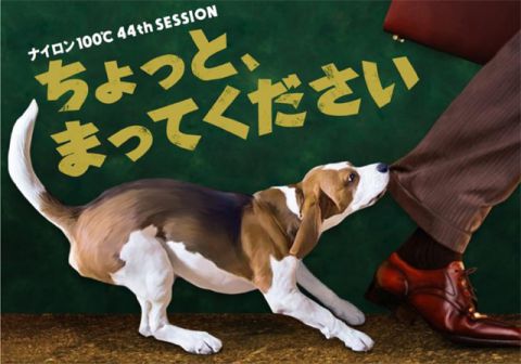 ナイロン（おもて面）